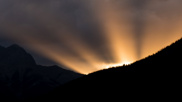 A Guiding Light Through Divorce